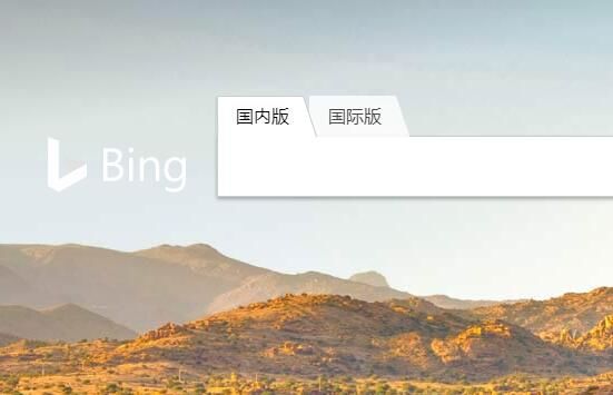 必應(yīng)搜索被曝包含兒童色情內(nèi)容，微軟：將努力修復(fù)